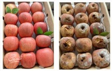 ضررهای میلیاردی فروشگاههای آنلاین چین/ ماجرا چیست؟