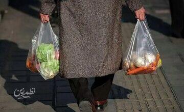 هشدار نسبت به حذف اقلام غذایی با افزایش تورم؛ غذا به کالای لوکس تبدیل شده/ کالابرگ بدون ثبات اقتصادی کارایی ندارد/ پای مرغ یا سویا بجای گوشت!