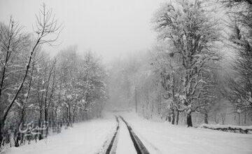 صدور هشدار نارنجی و بارش برف در این استان