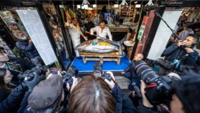 ماهی تن غولپیکر