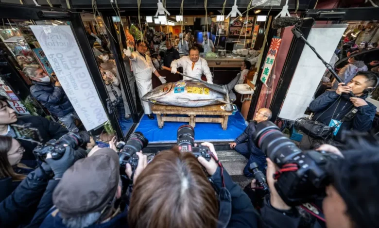 ماهی تن غولپیکر