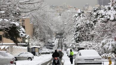 روز برفی تهران