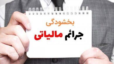 جزئیات بخشودگی جرایم مالیاتی تا سقف 700 میلیون تومان