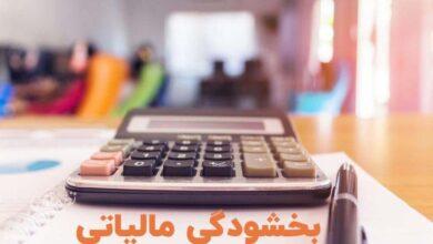 بخشودگی خودکار جرایم مالیاتی تا 700میلیون/ نیاز به درخواست مودی نیست