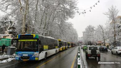 بارش برف زمستانی در تهران