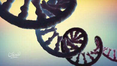 RNA