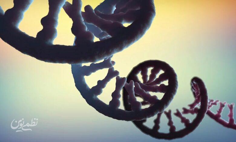 RNA
