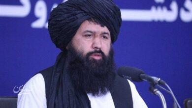 ندامحمد ندیم
