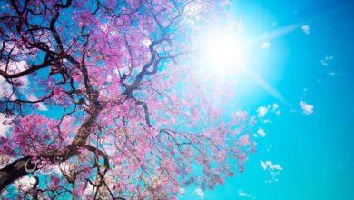 هواشناسی - بهار - گرما در بهار