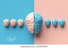 نقشه تکامل مغز