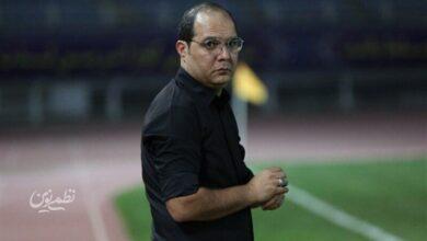 محمد ربیعی