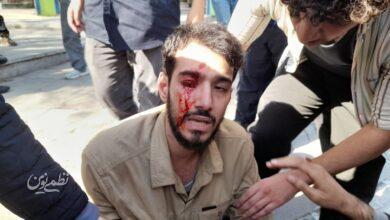 دانشگاه