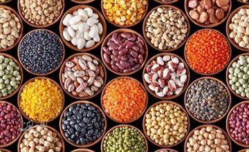 فیبر بالا و کلسترول صفر را در این غذاها جستوجو کنید