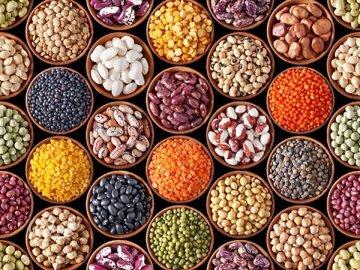 فیبر بالا و کلسترول صفر را در این غذاها جستوجو کنید