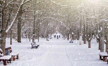 امشب این مناطق منتظر بارش برف و باران باشند