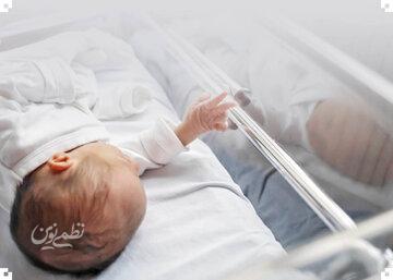 چرا شمال شهرنشین ها به داشتن فرزند بیشتر علاقه ندارند؟