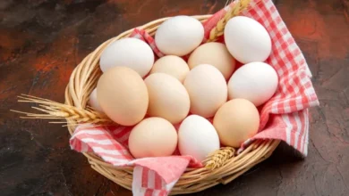 قیمت تخم مرغ