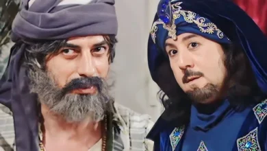 عاقل ترین دیوانه
