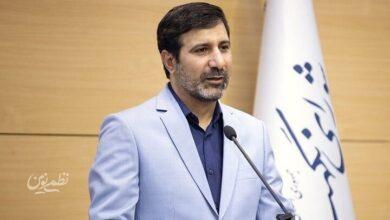 هادی طحان‌نظیف، شورای نگهبان