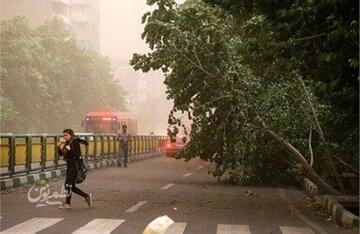 هواشناسی استان تهران هشدار داد