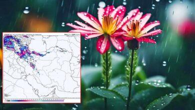 منتظر بارشهای فراوان و کم سابقه باشید/ ترسالی شدید و بزرگی در راه ایران است