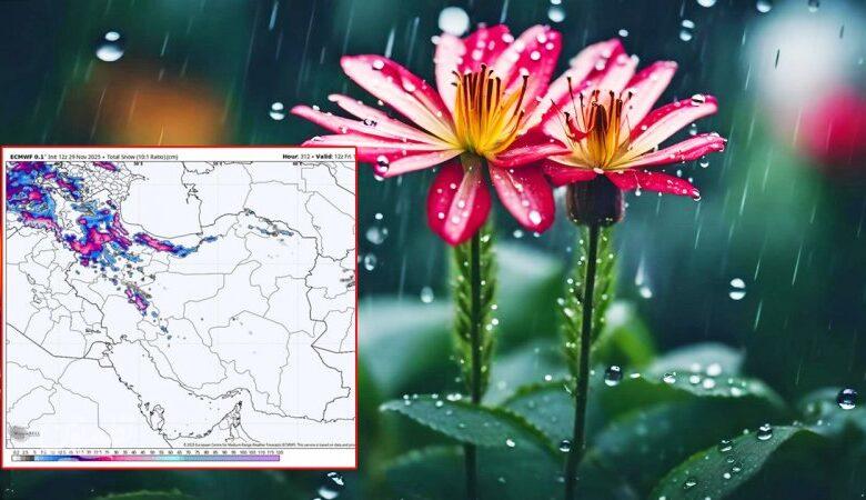 منتظر بارشهای فراوان و کم سابقه باشید/ ترسالی شدید و بزرگی در راه ایران است