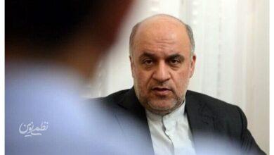 مجتبی امانی