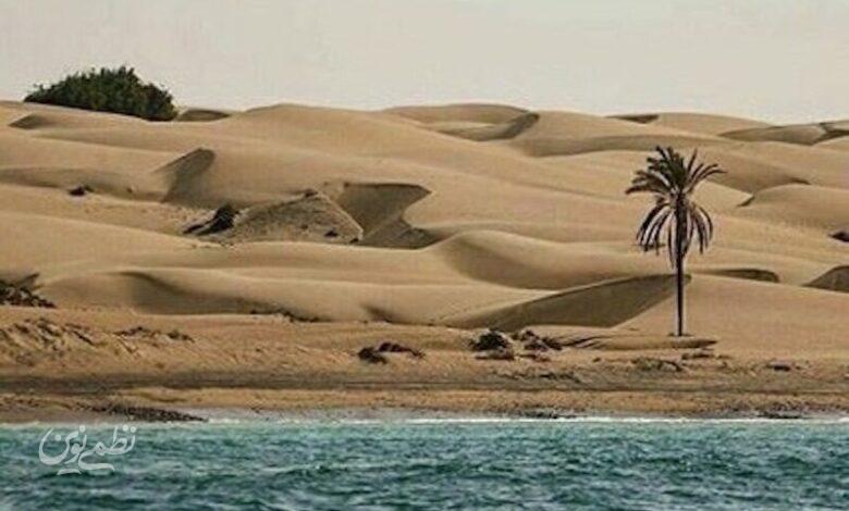 هواشناسی