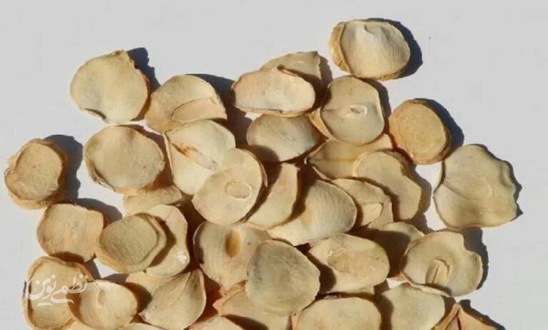 موسیر