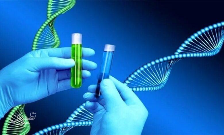 مصرف بالای ترشیجات خطر ابتلا به این سرطان را افزایش میدهد