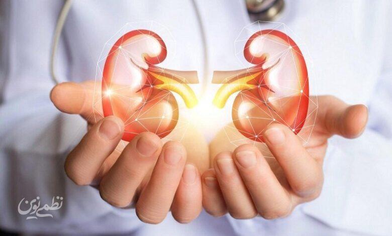 با این راهکارها بیماریهای کلیوی را از خود دور کنید