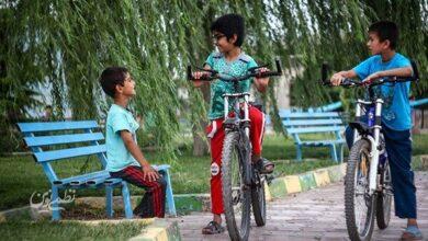 تابستان خود را چگونه میخواهید بگذرانید؟