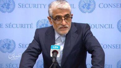 امیر سعید ایروانی