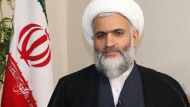 صلحمیرزایی، عضو مجلس خبرگان رهبری