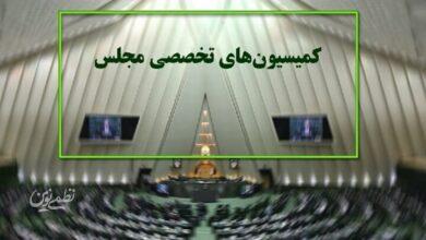 کمیسیون های تخصصی