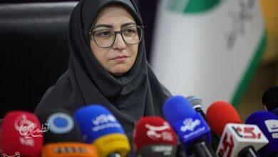 شینا انصاری