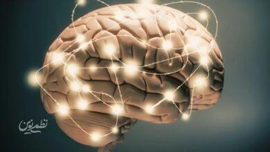 BRAIN