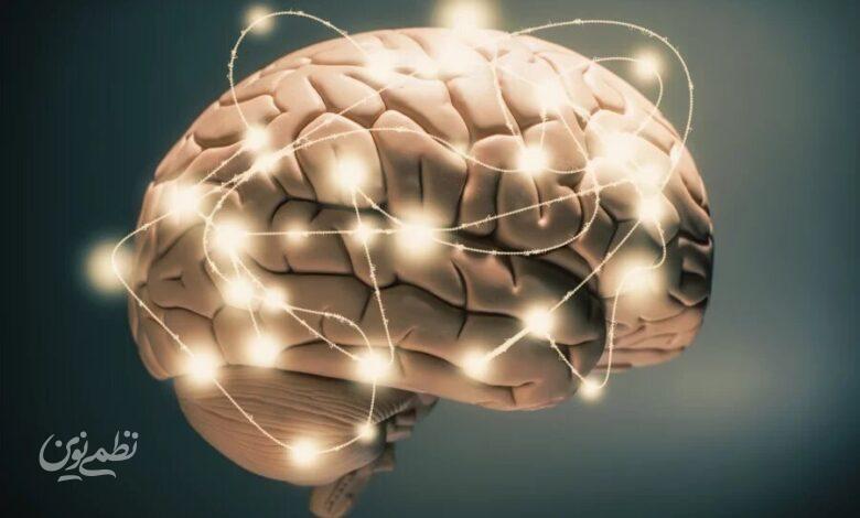 BRAIN