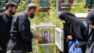 طرح احیای حجلهها و سنگمزارهای گلزار شهدا