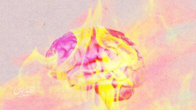 brain