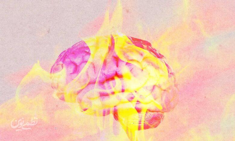 brain