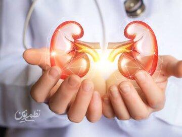 نوشیدنی های مفید برای کلیه