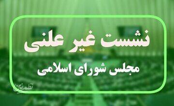 برگزاری هفتمین جلسه وبیناری مجلس فردا/ کدام وزیر پزشکیان در جلسه مجازی حضور خواهد داشت؟