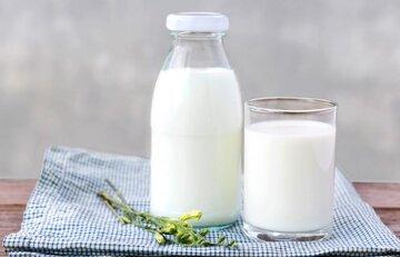 هر روز شیر بخوریم یا نه؟