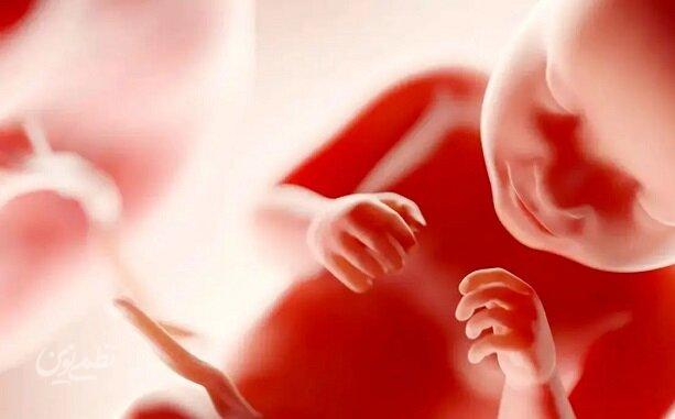 جنین در چند ماهگی آگاهی پیدا می‌کند؟