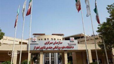 دانشگاه علوم پزشکی جندی شاپور اهواز