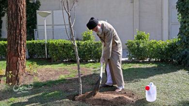 درختکاری - رهبر شهید