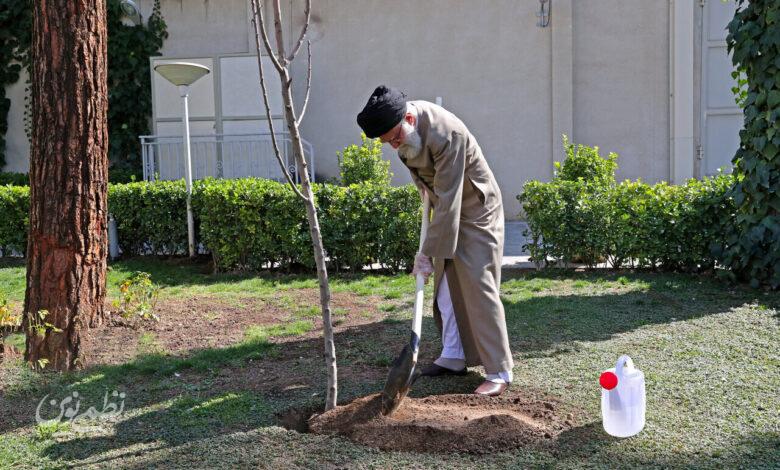 درختکاری - رهبر شهید