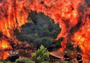 آتشسوزی عمدی در عرصههای طبیعی فارس /۵ نفر دستگیر شدند