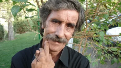 محمود بصیری